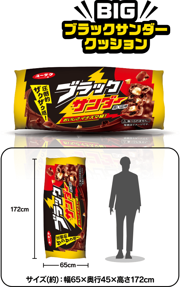 BIGブラックサンダークッション サイズ：0,000×000mm