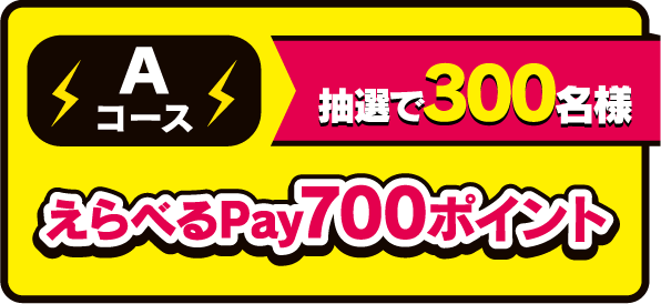 Aコース抽選で300名様えらべるPay700ポイント