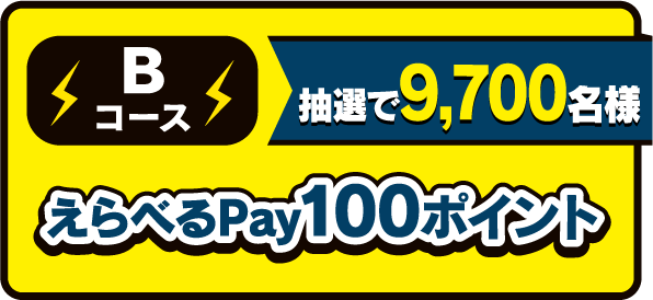 Bコース抽選で9,700名様えらべるPay100ポイント